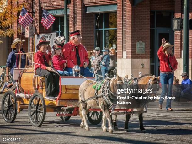 334 Pulling Reins Stock Photos, High-Res Pictures, and Images - Getty