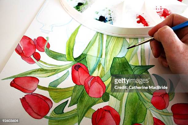 red poppy watercolour painting - catherine macbride stockfoto's en -beelden