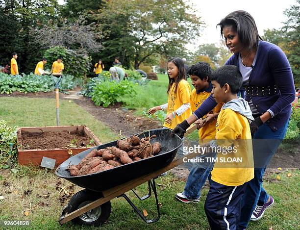 First lady Michelle Obama hosts a fall harvest of the White House vegetable garden with help of students from Washington's Bancroft and Kimball...