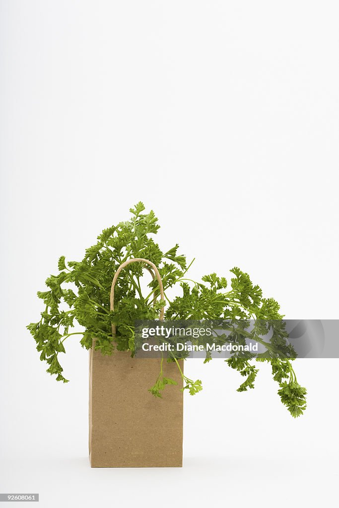 A bunch of parsley in brown paper bag