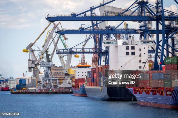 containerschiffe im handelshafen, gdynia, polen - danzig provinz pomorskie stock-fotos und bilder