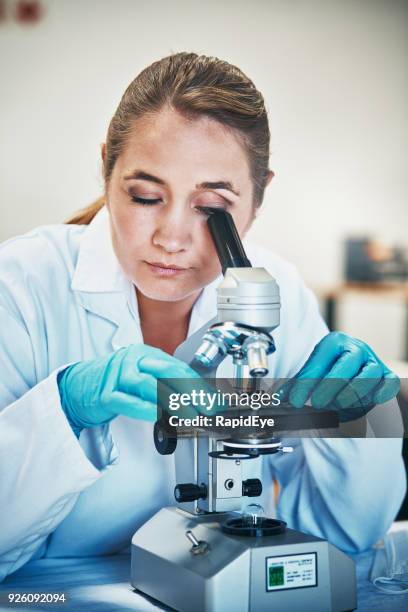 Medical Person Eye In Microscope Adult Lab Photos and Premium High Res ...