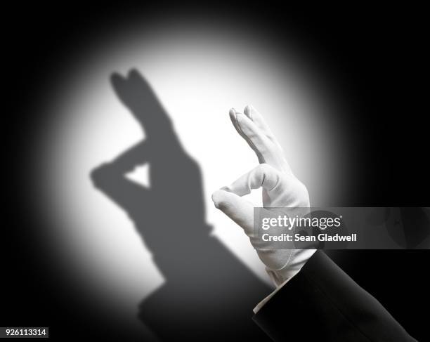 rabbit shadow puppet - shadow magic stock pictures, royalty-free photos & images