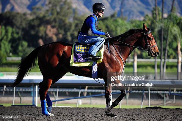 Joe Steiner rides Lookin At Lucky during a morning workout in preparation for the Breeders Cup 2009 at the Santa Anita Racetrack, on November 2, 2009...