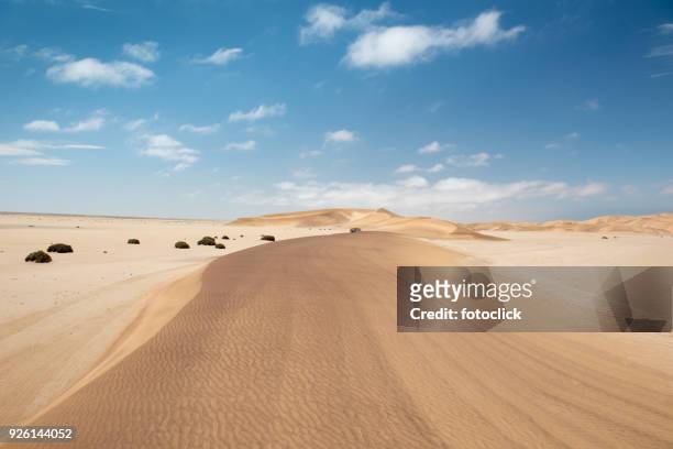dunes of the namib - fotoclick stock pictures, royalty-free photos & images
