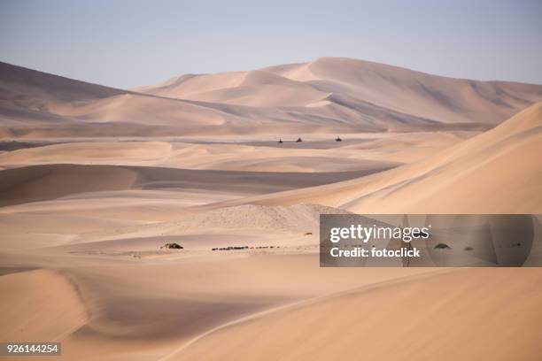 dünen der namib - fotoclick stock-fotos und bilder