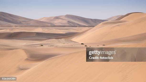 dünen der namib - fotoclick stock-fotos und bilder