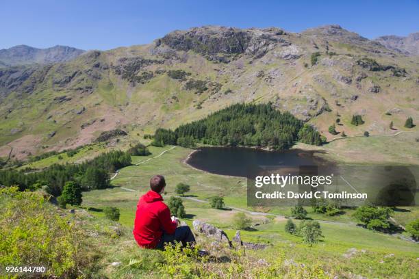 hiker admiring the view over blea tarn from lingmoor fell, lake district national park, cumbria, england, uk - lingmoor fell stock pictures, royalty-free photos & images