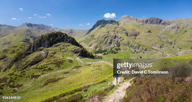 view to the langdale pikes from lingmoor fell, great langdale, lake district national park, cumbria, england, uk - langdale pikes stock pictures, royalty-free photos & images