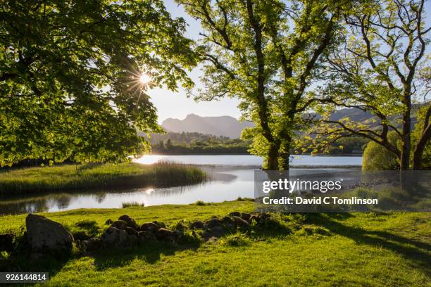 elter water and the langdale pikes, elterwater, lake district national park, cumbria, england, uk - 流れ ストックフォトと画像