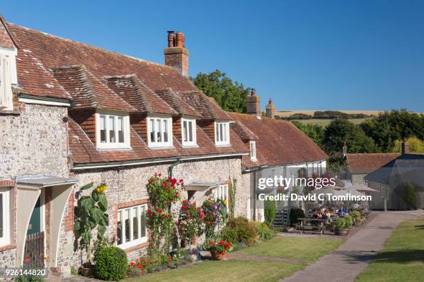 terraced cottages overlooking the village green, east dean, east sussex, england, uk - south downs national park stock pictures, royalty-free photos & images
