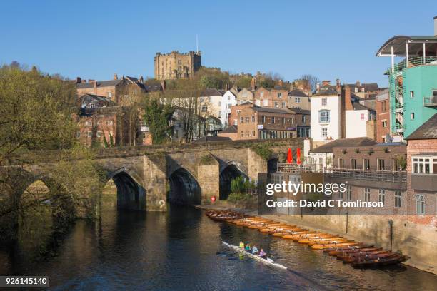 sculling on the river wear below elvet bridge, durham castle in background, durham, county durham, england, uk - rowing boat stock pictures, royalty-free photos & images