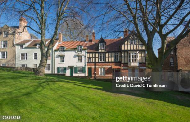 view across cathedral lawn to historic houses, durham, county durham, england, uk - dachgiebel stock-fotos und bilder