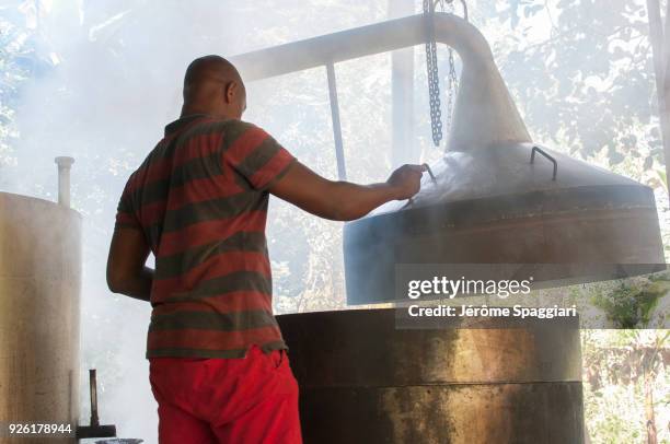 distillery of ylang-ylang in mayotte - ylang-ylang-tree stock pictures, royalty-free photos & images