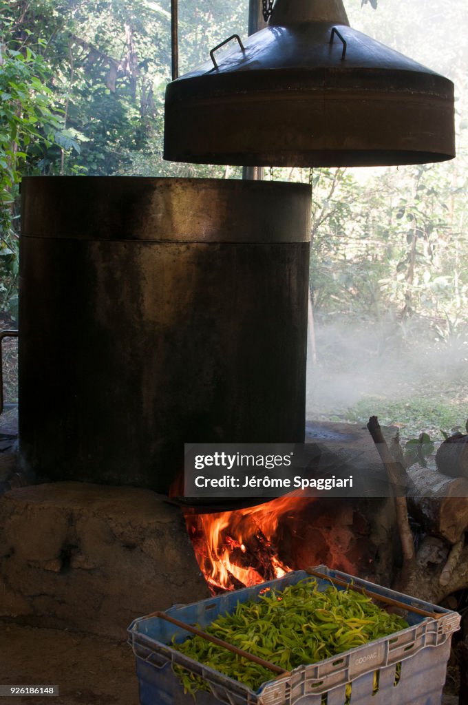 Distillery of ylang-ylang in Mayotte