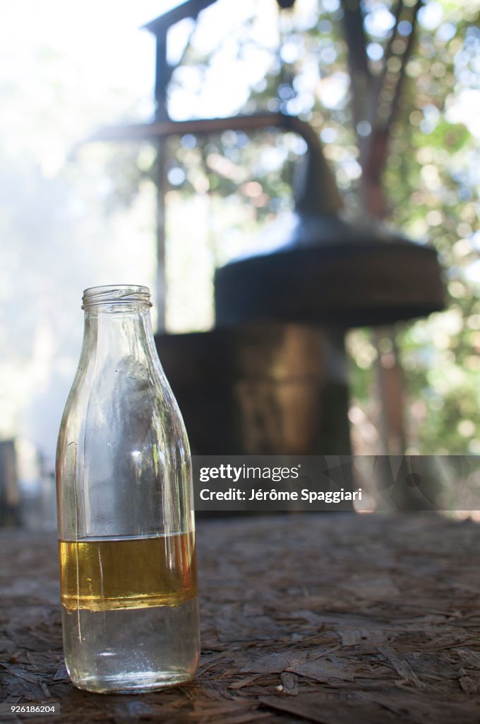 Distillery of ylang-ylang in Mayotte