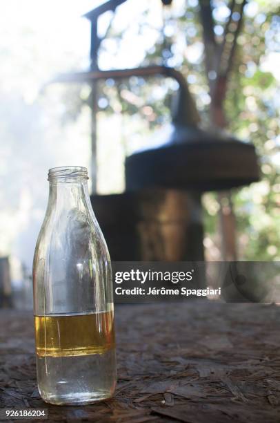 distillery of ylang-ylang in mayotte - ylang-ylang-tree stock pictures, royalty-free photos & images