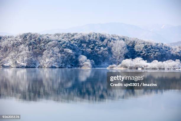 reflection of forest in winter - chuncheon fotos stock-fotos und bilder