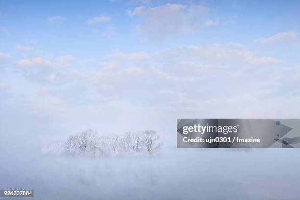 landscape of gangwon province in winter - gangwon province 個照片及圖片檔