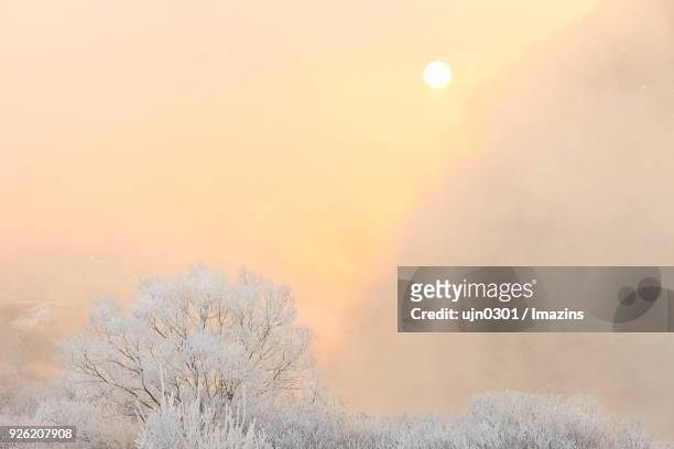 winter landscape - chuncheon fotos stock-fotos und bilder