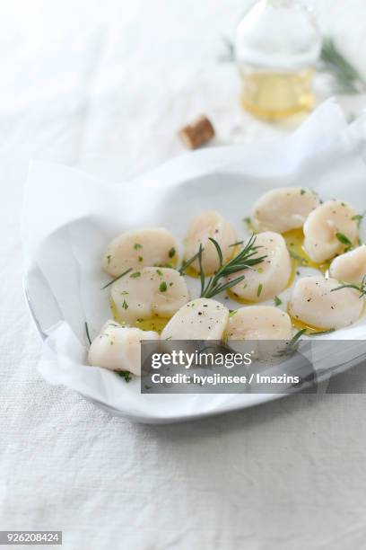 Pen Shell Cook 618 Pen Shell Stock Photos, High-Res Pictures, and Images - Getty Images