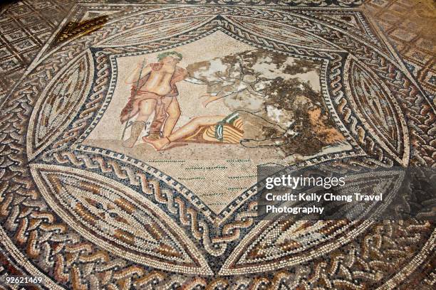 roman mosaics at volubilis - ariadne imagens e fotografias de stock