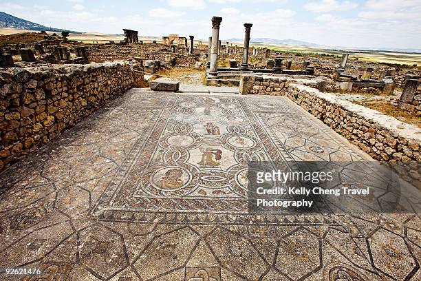 roman mosaics at volubilis - moulay idriss morocco photos et images de collection