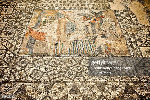 roman mosaics of volubilis - moulay idriss morocco photos et images de collection