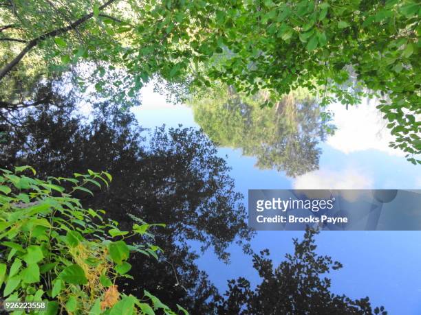 reflections in a still water stream. - brooke payne stock pictures, royalty-free photos & images
