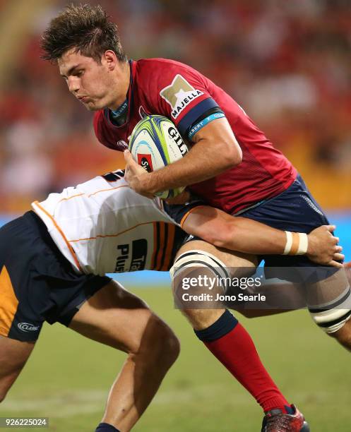 Liam Butler Rugby 110 Liam Wright Rugby Player Stock Photos, High-Res Pictures, and ...