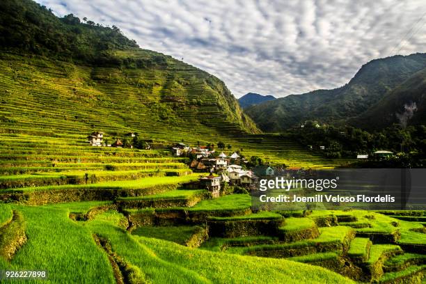 batad rice terraces (banaue, ifugao, philippines) - joemill flordelis - fotografias e filmes do acervo