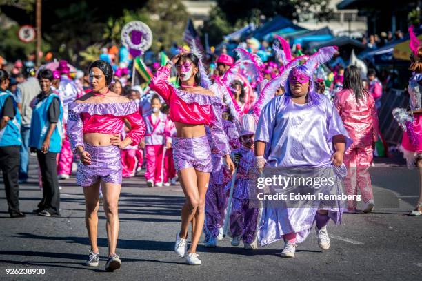 the ladies in pink - cape town carnival in south africa stock pictures, royalty-free photos & images