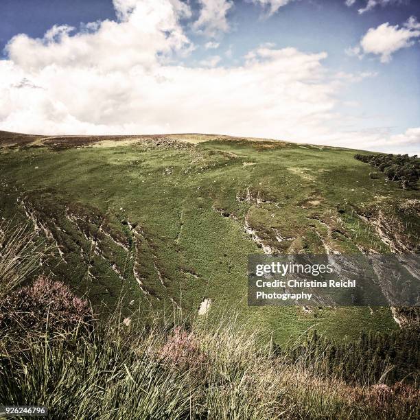 green hill in with cloudscape in glendalough, ireland - christina ramos - fotografias e filmes do acervo