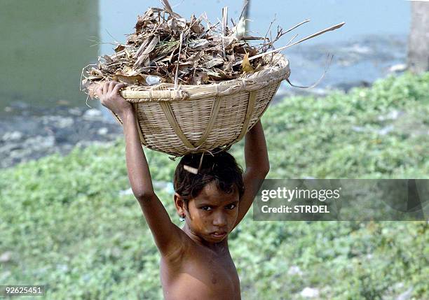 Bangladeshi female child labour carries a basket of dry tree-leaves at the bank of a river in Dhaka, 05 January 2006. Some 2.4 milion children out of...