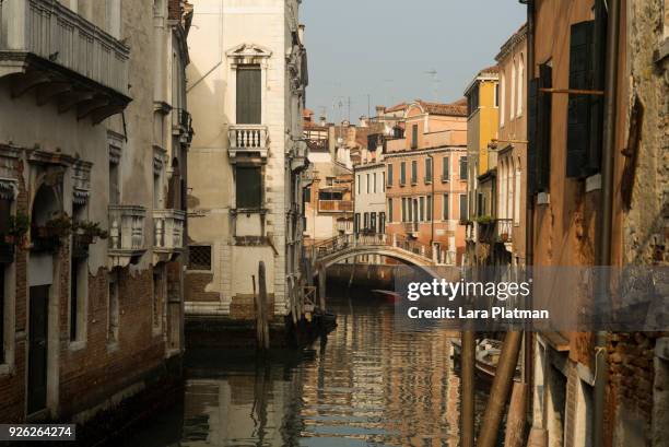 venice - lara platman 個照片及圖片檔