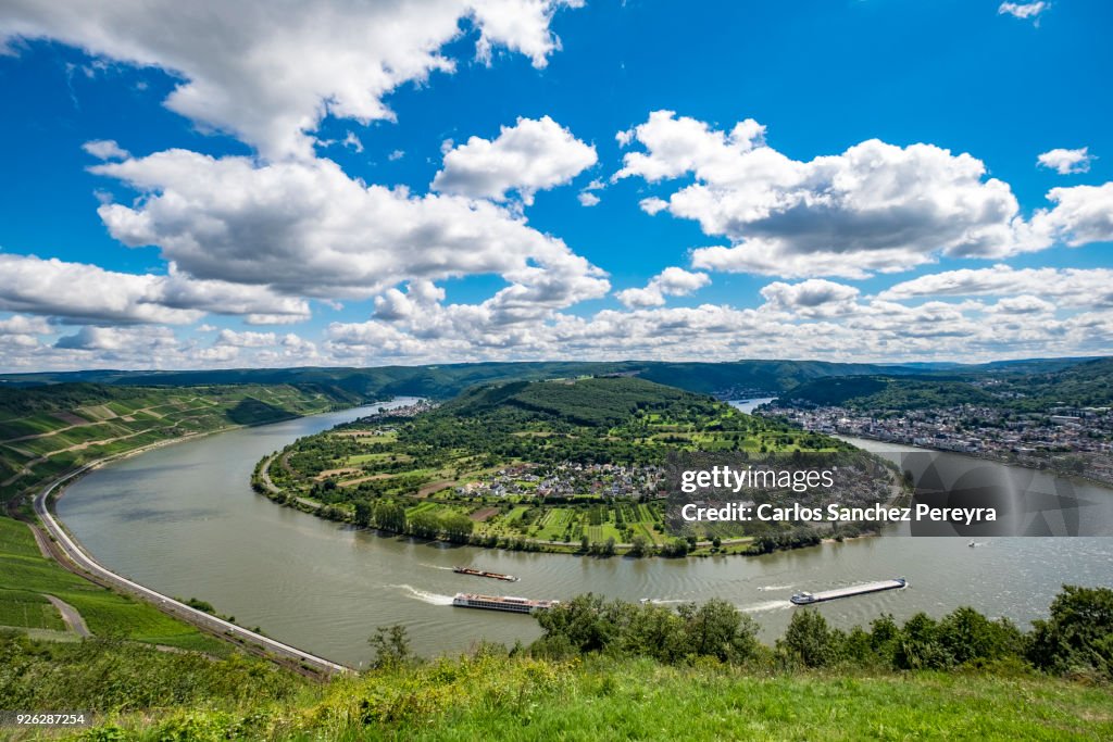 Landscape in Rhine river in Germany