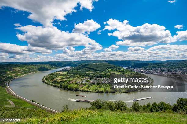 landscape in rhine river in germany - north rhine westphalia stock pictures, royalty-free photos & images