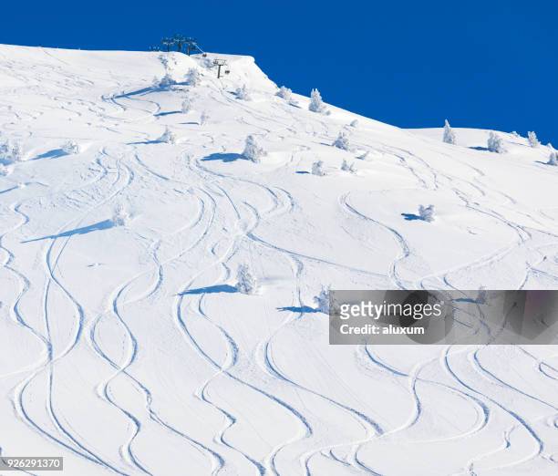 ski tracks on powder snow - powder snow imagens e fotografias de stock
