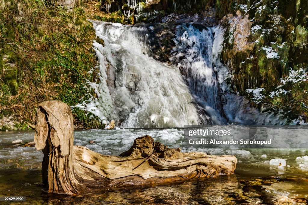 Old wooden timber in the water of mountain waterfall, Germany