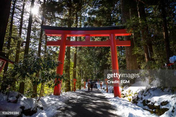 weg zum heiligtum - torii tor stock-fotos und bilder