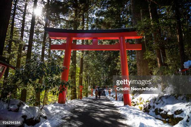 pathway to the shrine - torii gate stock pictures, royalty-free photos & images