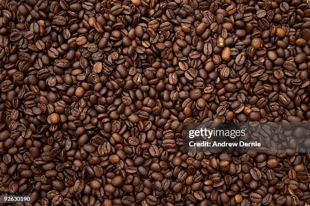 coffee beans - andrew dernie - fotografias e filmes do acervo