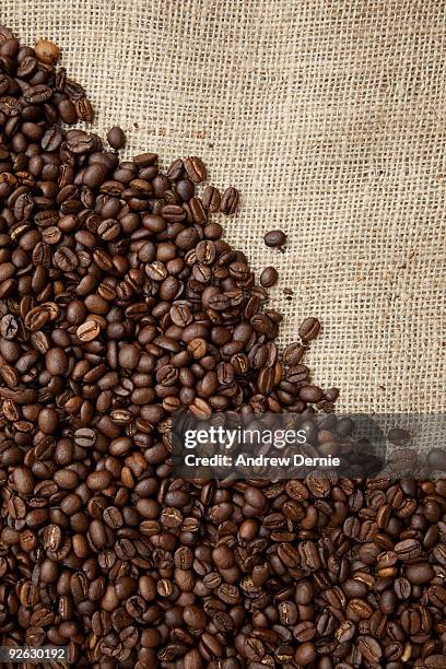 coffee beans - andrew dernie - fotografias e filmes do acervo