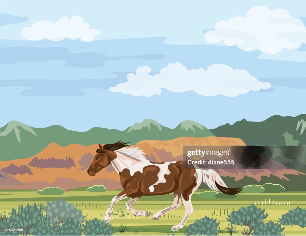 Wild Horse Running. Utah Mountains