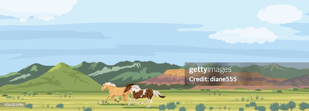 Course de chevaux sauvages. Montagnes de l’Utah