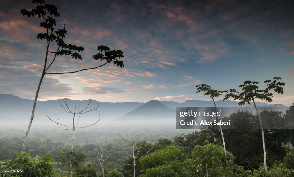 Ubatuba, Sao Paulo, Brazil