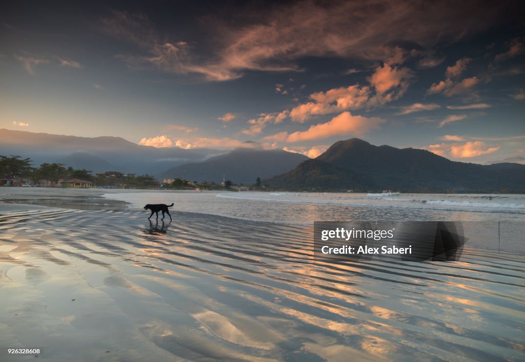 Ubatuba, Sao Paulo, Brazil