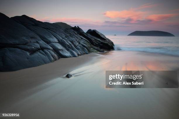 ubatuba, sao paulo, brazil - alex saberi - fotografias e filmes do acervo