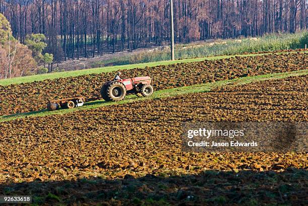 kinglake central, victoria, australia - distant fire stock pictures, royalty-free photos & images