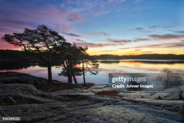 sunset at lake - göteborg silhouette bildbanksfoton och bilder